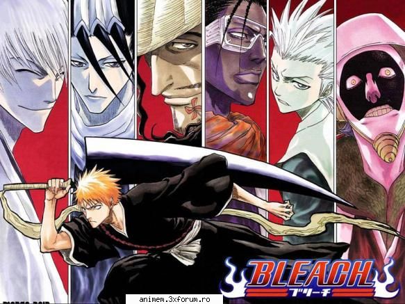 tot ce va place shi nu va place, tot ce shtotzi despre bleach bleach